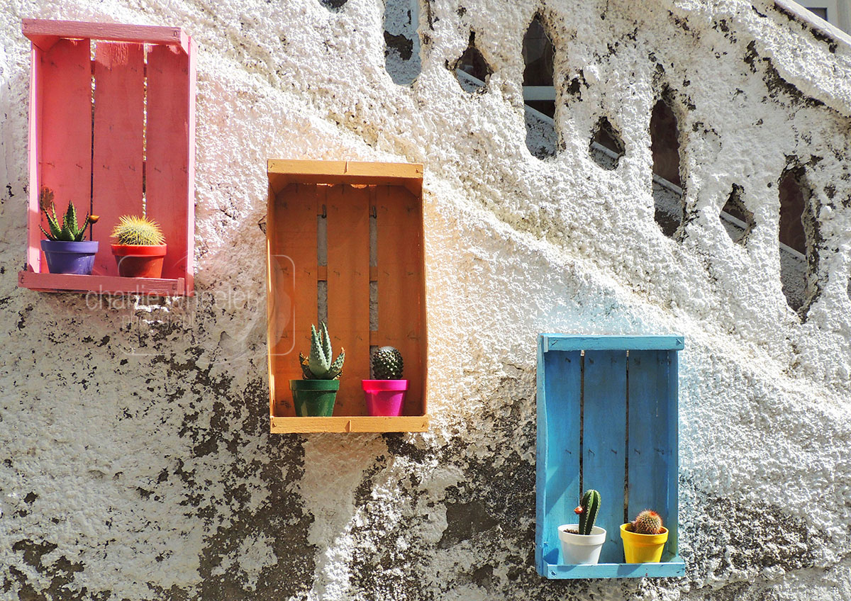 kos-planters Kos Planters