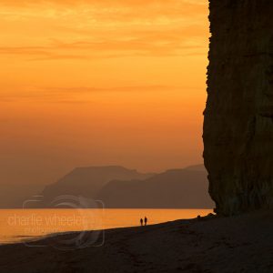 Hive Beach