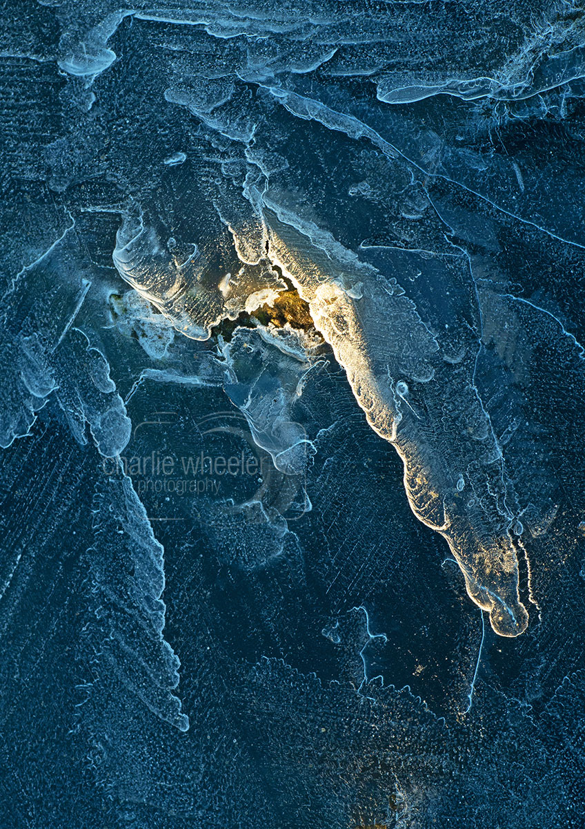 ice-detail Ice Detail